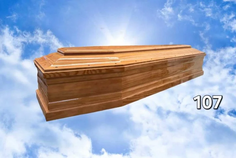 Cofano lucida lucida