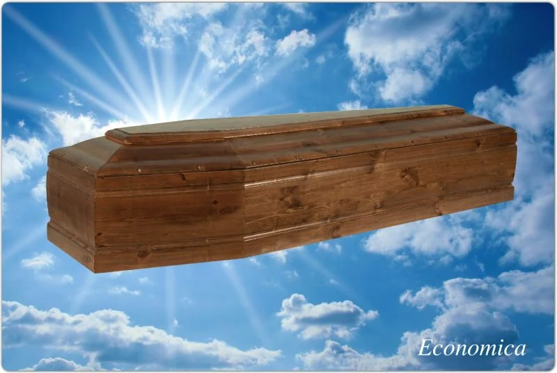 Cofano economica economica