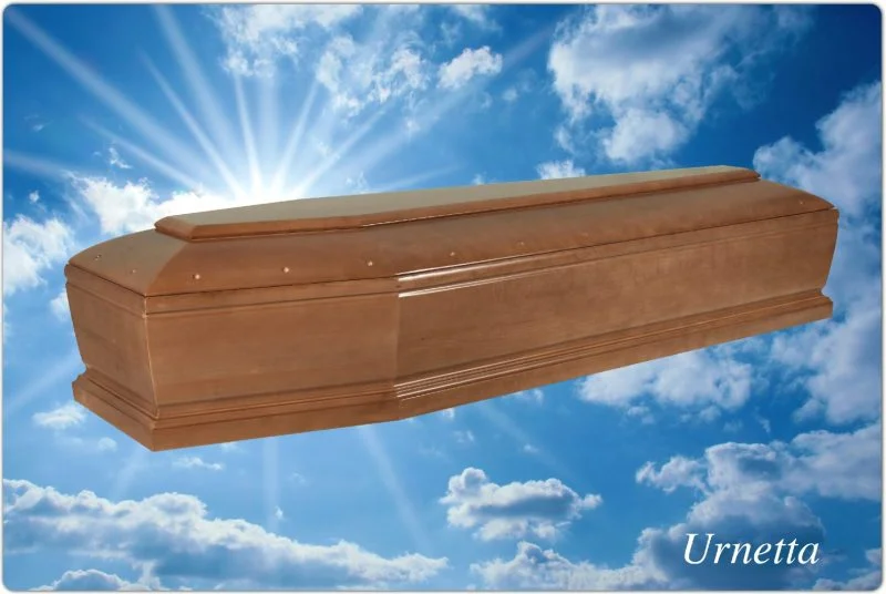 Cofano urnetta Cofano urnetta